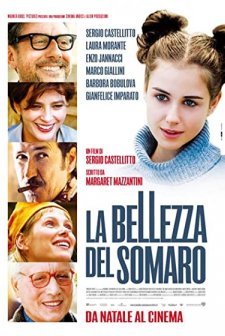 La Bellezza Del Somaro (2010) afişi