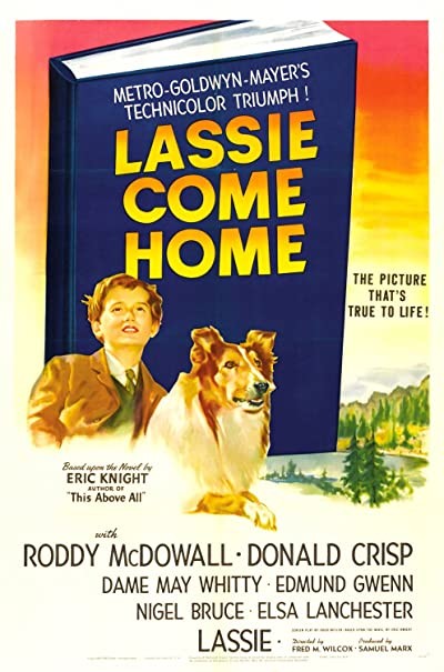 Lassie Come Home (1943) afişi Lassie Come Home (1943) afişi