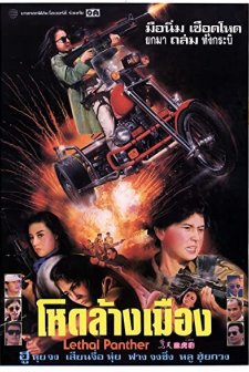Lethal Panther (1990) afişi