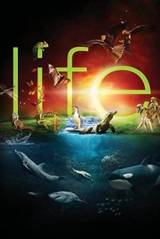 Life (2009) afişi