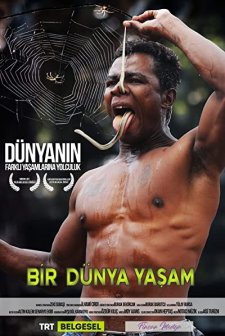 Life(ıı) (2013) afişi