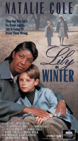 Lily'nin Yolculuğu (1994) afişi Lily'nin Yolculuğu (1994) afişi