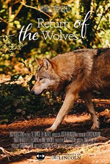 Los Lobos (2020) afişi