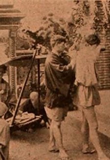 Love Of Chrysanthemum