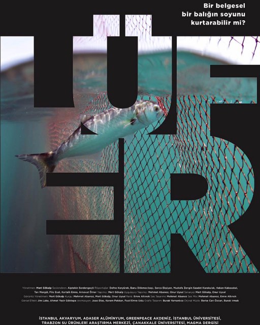 Lüfer (2016) afişi Lüfer (2016) afişi