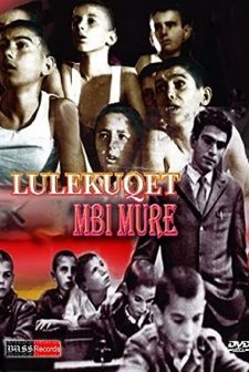 Lulekuqet Mbi Mure (1976) afişi