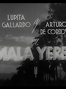 Mala Yerba