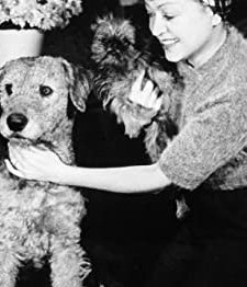 Mädchen Für Alles (1937) afişi