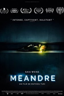 Meander (2020) afişi