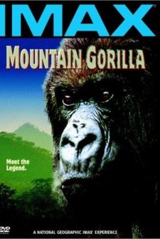 Mountain Gorilla (1992) afişi