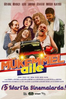 Mükemmel Aile (2024) afişi