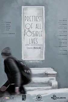 Mümkün Hayatların En Güzeli (2017) afişi