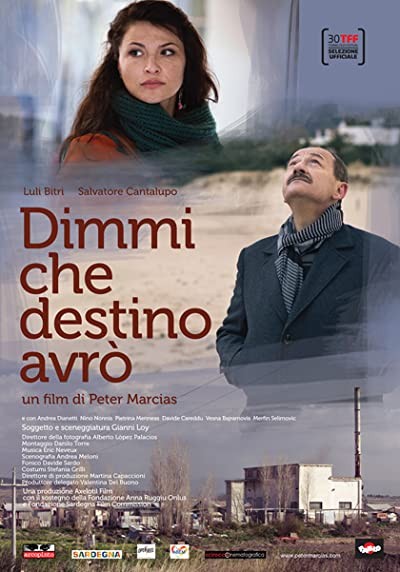 My Destiny (2012) afişi My Destiny (2012) afişi