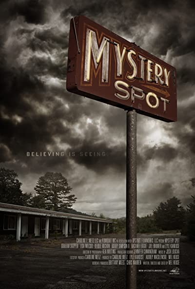 Mystery Spot (2021) afişi Mystery Spot (2021) afişi