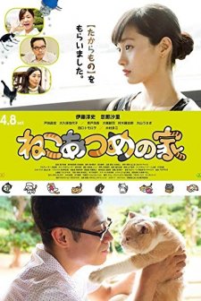 Neko atsume no ie (2017) afişi