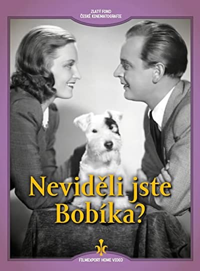 Nevideli Jste Bobíka? (1944) afişi Nevideli Jste Bobíka? (1944) afişi