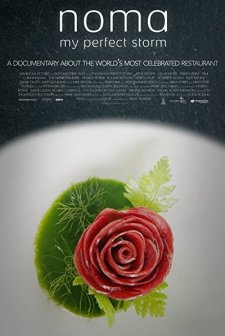 Noma: My Perfect Storm