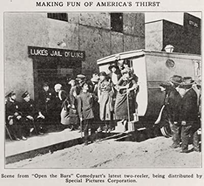 Open The Bars (1920) afişi Open The Bars (1920) afişi