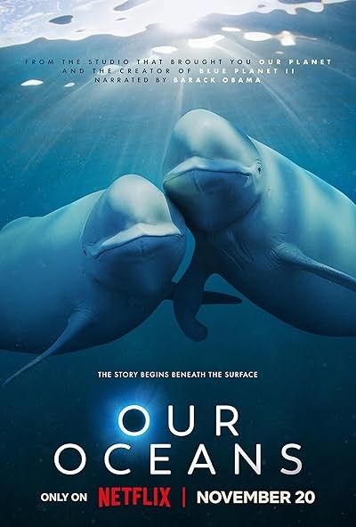 Our Oceans (2024) afişi Our Oceans (2024) afişi