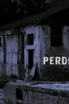 Perde(ı) (2010) afişi