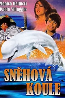 Palla Di Neve (1995) afişi