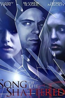 Parçalanmış şarkı (2010) afişi