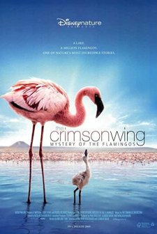 Pembe Kanatlar: Flamingolarin Gizemi (2008) afişi