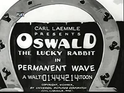 Permanent Wave (1929) afişi Permanent Wave (1929) afişi