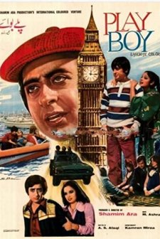 Playboy (1978) afişi