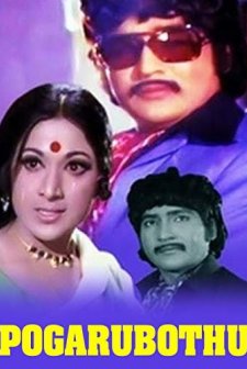 Pogaru Botu (1976) afişi