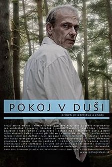 Pokoj V Dusi (2009) afişi