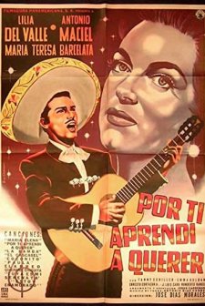 Por Ti Aprendí A Querer