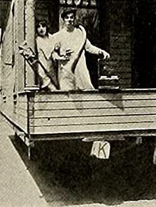 Professor Bean's Removal (1913) afişi