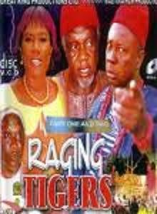 Raging Tigers (2008) afişi Raging Tigers (2008) afişi