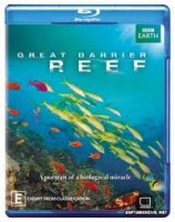 Reef and Beyond (2012) afişi Reef and Beyond (2012) afişi