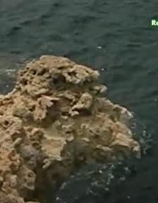 Ritorno a Lisca Bianca (1983) afişi