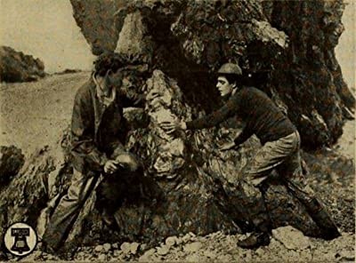 Romance Of Pond Cove (1911) afişi Romance Of Pond Cove (1911) afişi