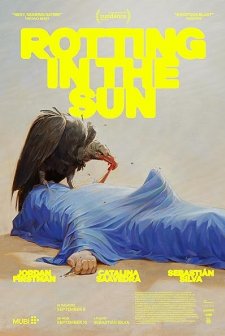 Rotting in the Sun (2023) afişi