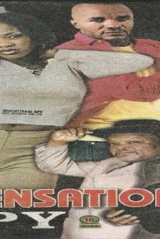 Sensational Spy (2004) afişi