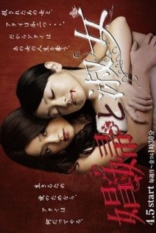 Shôfu To Shukujo (2010) afişi
