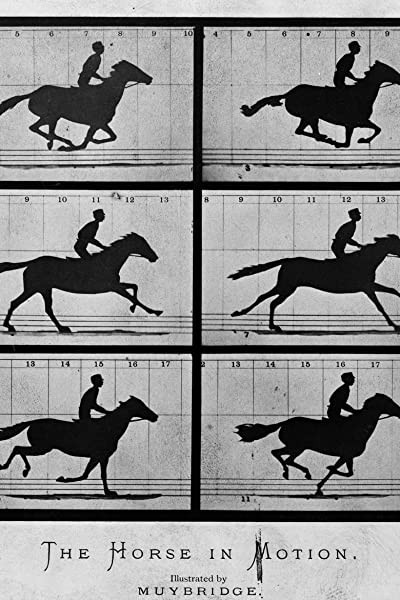 Sallie Gardner At A Gallop (1878) afişi Sallie Gardner At A Gallop (1878) afişi