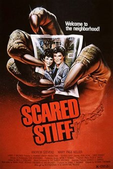 Scared Stiff (1987) afişi