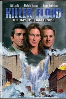 Sel Felaketi (2003) afişi