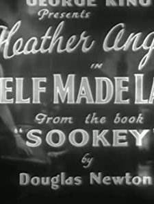 Self Made Lady (1932) afişi