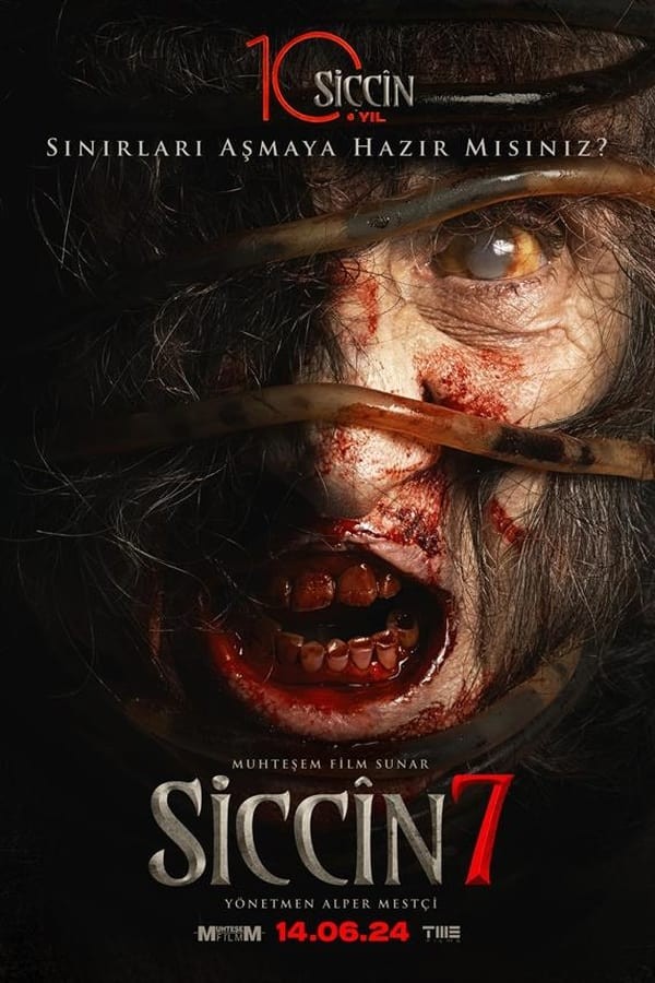 Siccin 7 (2024) afişi