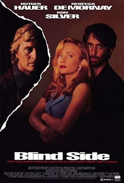 Sin Testigos (1993) afişi Sin Testigos (1993) afişi