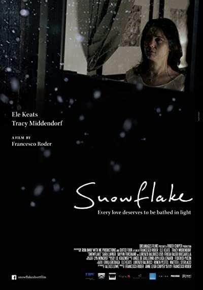 Snowflake (2014) afişi Snowflake (2014) afişi