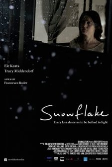 Snowflake (2014) afişi