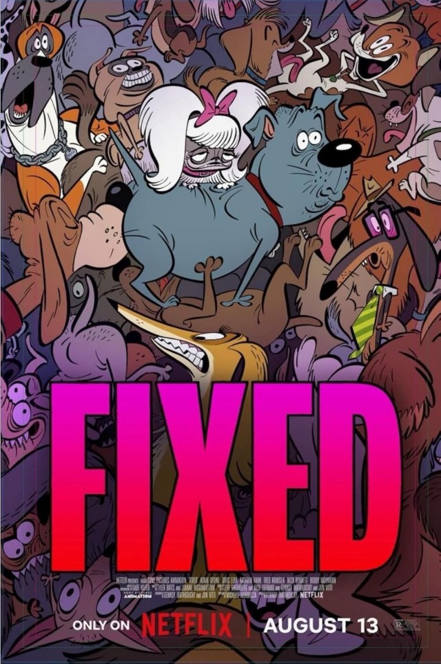 Son Bir Macera (2025) afişi