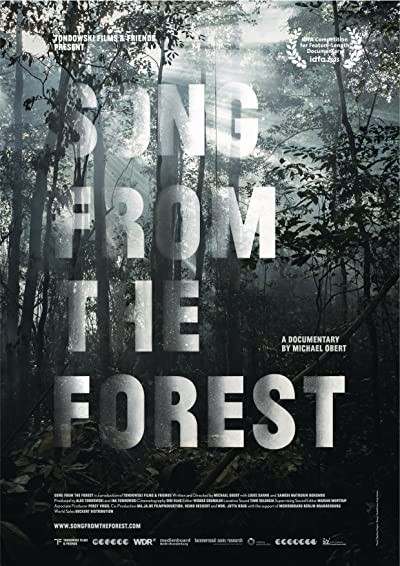Song from the Forest (2013) afişi Song from the Forest (2013) afişi